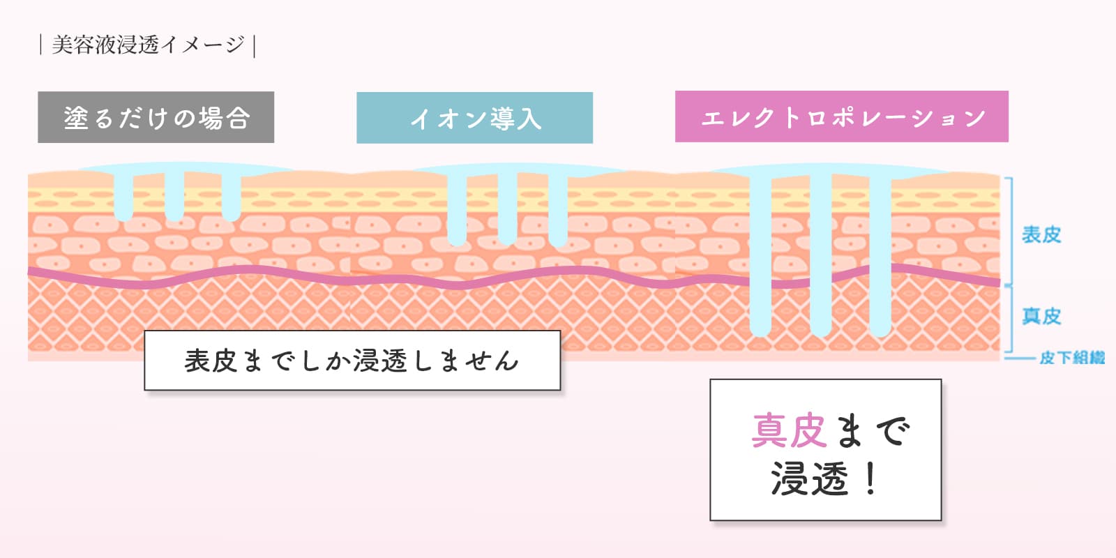 hada_zukai_sintou